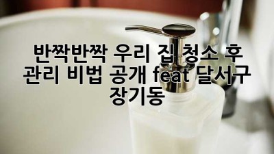 ✨ 반짝반짝 우리 집, 청소 후 관리 비법 공개! (feat. 달서구 장기동) 🏡